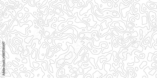 Minimalist Topographic Lines Abstract Pattern