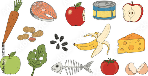 Hand drawn food illustration set with fruits vegetables fish cheese nuts and healthy ingredients