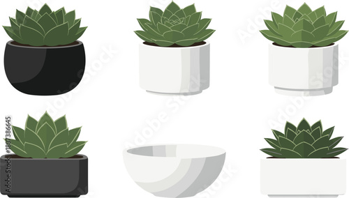 Minimal succulent plants in modern ceramic pots vector set for home decor interior design and gardening concepts