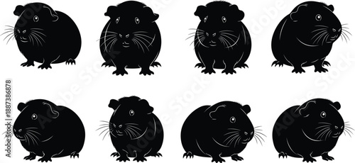 Black guinea pig silhouettes set isolated on white background showing cute pet rodents in multiple poses for animal illustration design