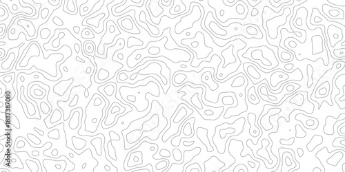 Abstract Topographic Lines Pattern