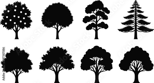 Black tree silhouette collection with deciduous and pine shapes, nature forest icons set, minimal vector illustration isolated on white background