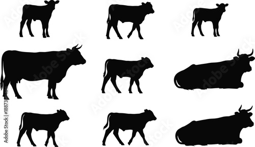 Cow and calf silhouettes collection showing farm livestock in standing and resting poses, black animal vector set isolated on white background