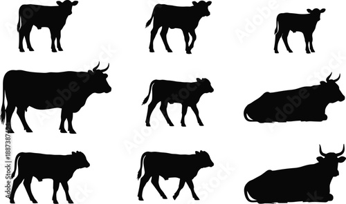 Cow and calf silhouette set illustrating farm livestock poses, standing and resting cattle, black agricultural animal vectors isolated on white