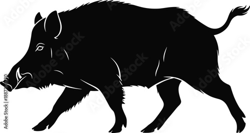 Wild boar silhouette walking side view isolated on white background, strong forest mammal illustration for hunting, wildlife, nature, and rustic design