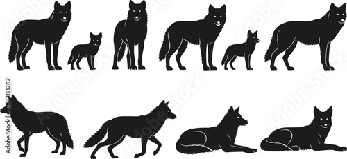Wolf silhouette set showing adult and pup in standing, walking, and resting poses isolated on white background representing wildlife and nature illustration