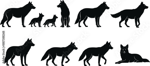 Wolf silhouette collection showing adult wolves and pups in standing, walking, and resting poses isolated on white background wildlife illustration