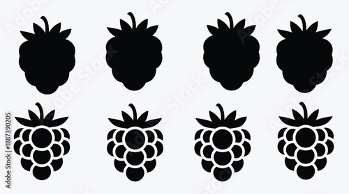 blackberry fruit pattern illustration fresh healthy organic