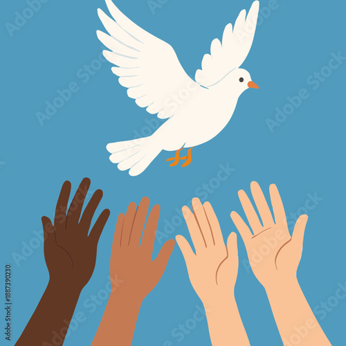 Hands Releasing a Dove Bird