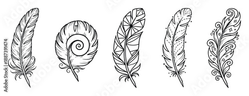 Feather illustration set. Decorative feather designs. Artistic feather collection in black and white. Elegant feather line art.