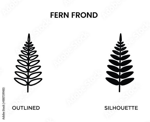 Fern frond outlined and silhouette vector illustration, nature botany botanical outline fronds elements