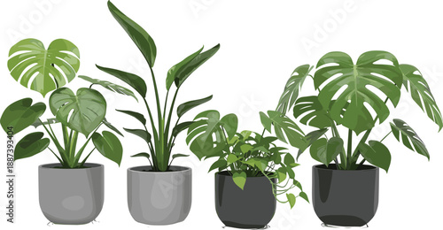Here is the SEO-optimized content for your vector illustration featuring a lush collection of tropical houseplants in modern grey and black pots.