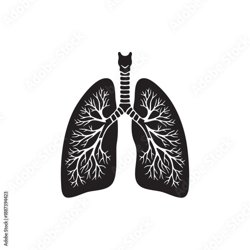 Human lungs silhouette vector illustration. Anatomical respiratory system icon. Black and white medical organ symbol with trachea and bronchial tree isolated on white background. Pulmonary health grap