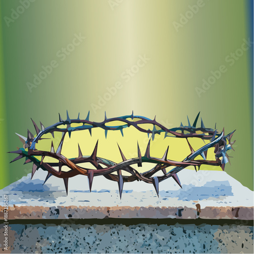 A crown of thorns as a powerful symbol of Christian faith and sacrifice.