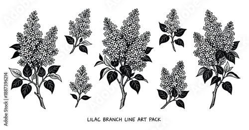Lilac branch line art pack illustration. Floral design element featuring blooming lilac branches, stems, and leaves in black and white.