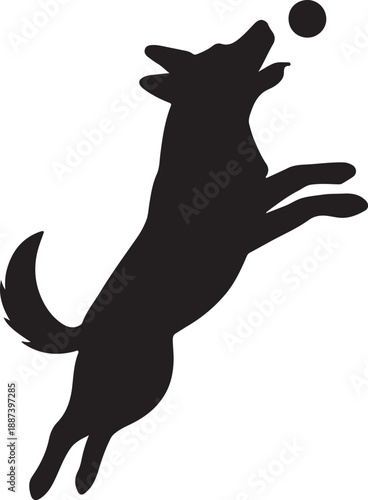 A silhouette of a playful dog leaping to catch a ball in mid air