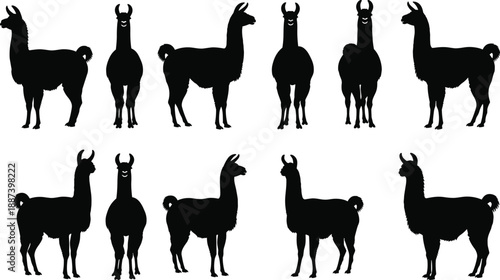 Black Silhouette Of Diverse People Celebrating Success With Arms Raised Including A Photographer Filming And Group Members Standing Isolated On White Background Vector Illustration