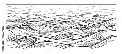 Ocean waves sketch drawing illustration, sea water wave with horizon and birds on top.