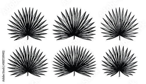 Palm fan leaf pattern, black silhouette botanical drawing of tropical foliage, seamless repeat design of fronds and leaflets