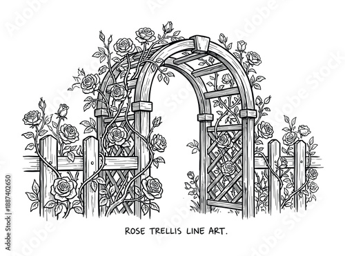 Rose trellis line art illustration. Garden archway with climbing roses and picket fence. Black and white garden scene drawing.