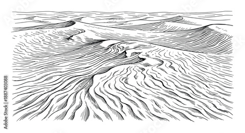 Sand dunes line art landscape with wind patterns, desert background illustration with flowing lines, and sand texture.