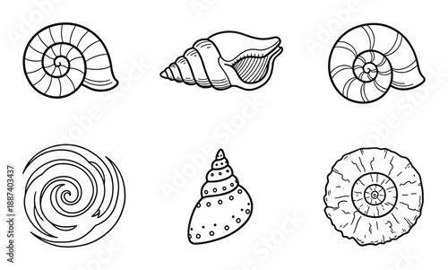 Seashells doodle line art vector illustration. Seashell collection outline drawing. Nautical elements, shell drawing clip art