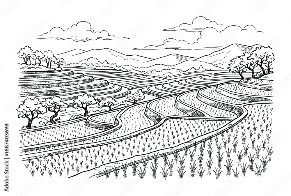 Fototapeta premium Serene rice terraces illustration, showcasing detailed agricultural landscape, serene mountains, and cloudy sky backdrop.