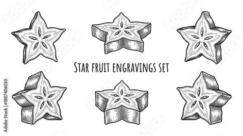 Star fruit engravings set, hand-drawn starfruit vector illustration, six different slices of star fruit