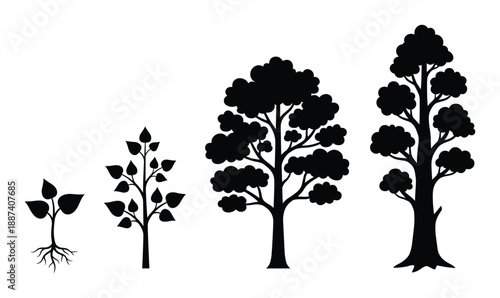 Tree Growth Stages Silhouette Vector Illustration, Tree Life Cycle Diagram in detail