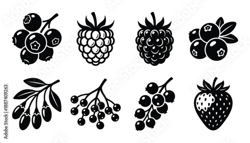 Variety of Black and White Berries Vector Illustration, Cranberry, Raspberry, Blackberry, Goji, Currant, Strawberry