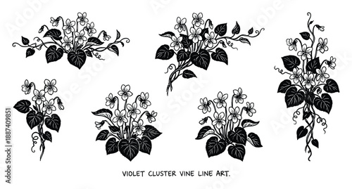 Violet cluster vine line art illustration with floral botanical design and detailed flower and leaf elements.