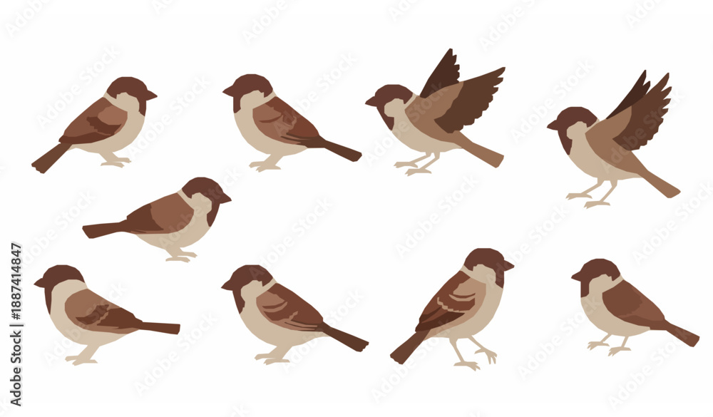 Obraz premium Minimal cartoon sparrow bird vector icons set on white