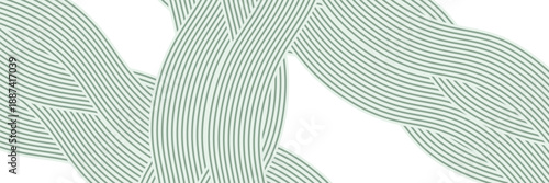 farm green banner, organic abstract background with fields. wavy green lines, natural organic products. vector ilustration