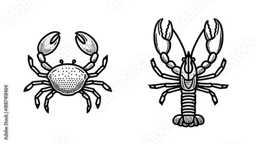 Lobster and crab illustration viewed from above in a simple graphic style