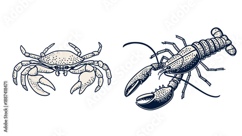 Crustacean illustrations of crab and lobster side by side in monochrome