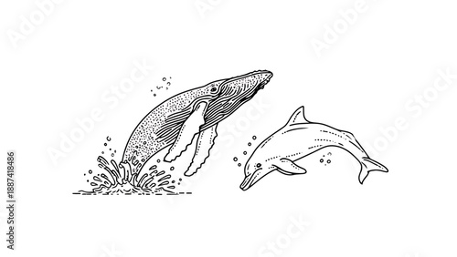 Dolphins leaping out of the ocean waves in a dynamic illustration