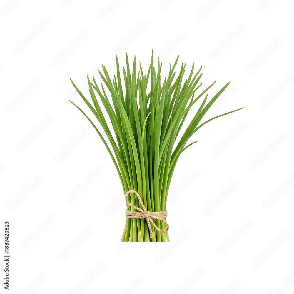 Fototapeta premium Fresh green chives bunch tied with rustic twine string on checkered background