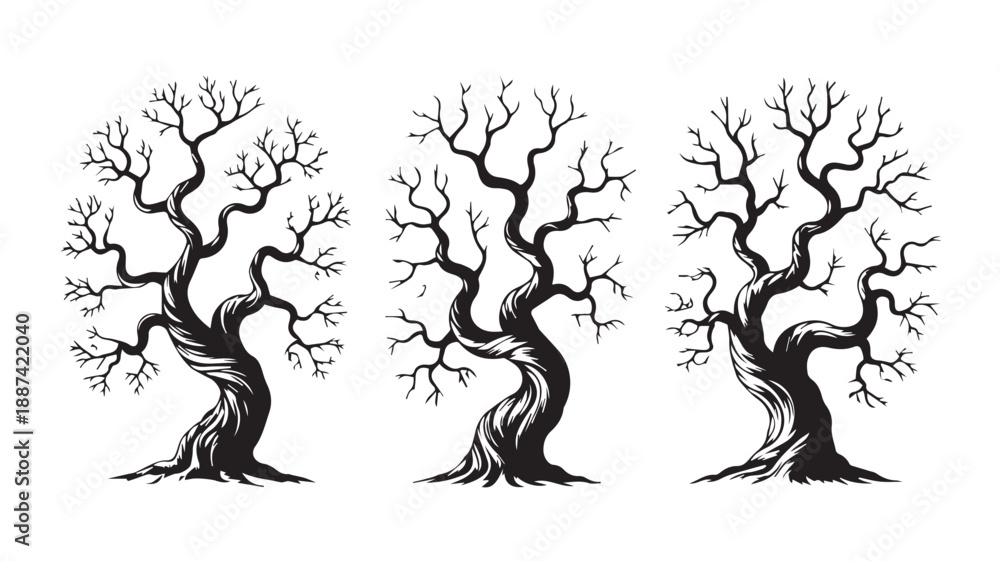 Obraz premium Hand-drawn illustration of three gnarled, bare trees, their twisted branches reaching upwards in a stark, monochrome sketch, perfect for mystical or spooky designs
