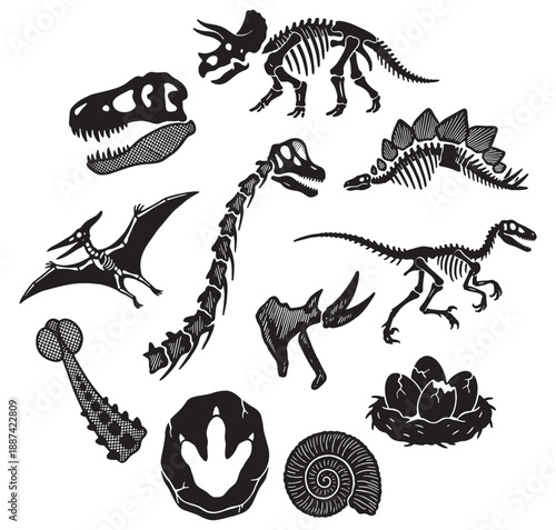 A collection of dinosaur skeletons, fossils, and eggs, including Triceratops, Stegosaurus, and Pterodactyl, illustrating prehistoric life and paleontology.