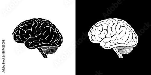 Black and white illustrations of a human brain on contrasting backgrounds