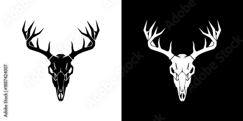 Two deer skulls with antlers on white and black backgrounds