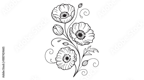 A delicate black and white line drawing of a blooming poppy flower with intricate swirls and buds