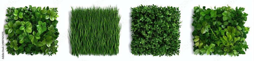 Naklejka premium Four square panels of various green plants, grass, and foliage creating a natural pattern, promoting ecology and sustainability