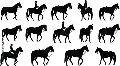 Collection of horse and rider silhouettes showing equestrian poses, walking horses and mounted riders, black and white illustration set for design projects branding
