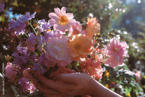 Hands holding fresh flowers in sunny garden
