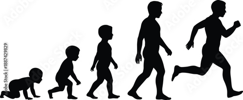 Human evolution stages silhouette showing growth from crawling baby to running adult representing development progress fitness lifestyle and biological evolution concept timeline illustration