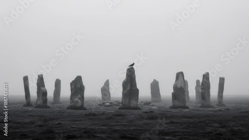 Raven on ancient stone circle in mist, flying and landing on another stone, depicting mysterious prehistoric site