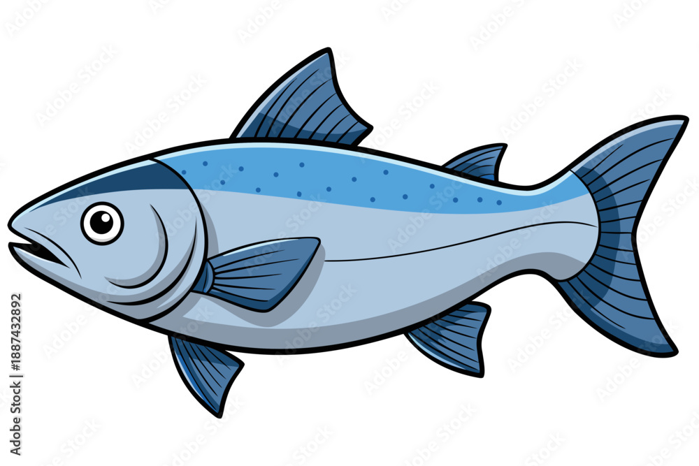 Fototapeta premium Fish on a white background