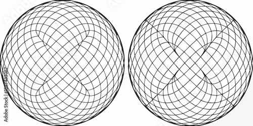 Two spherical wireframe structures with curved lines and complex geometry