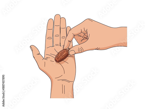 Hand Holding a Date Fruit.